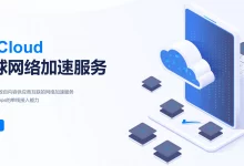 如何使用 WgetCloud 全球加速 Shadowsocks 代理服务?-节点狗