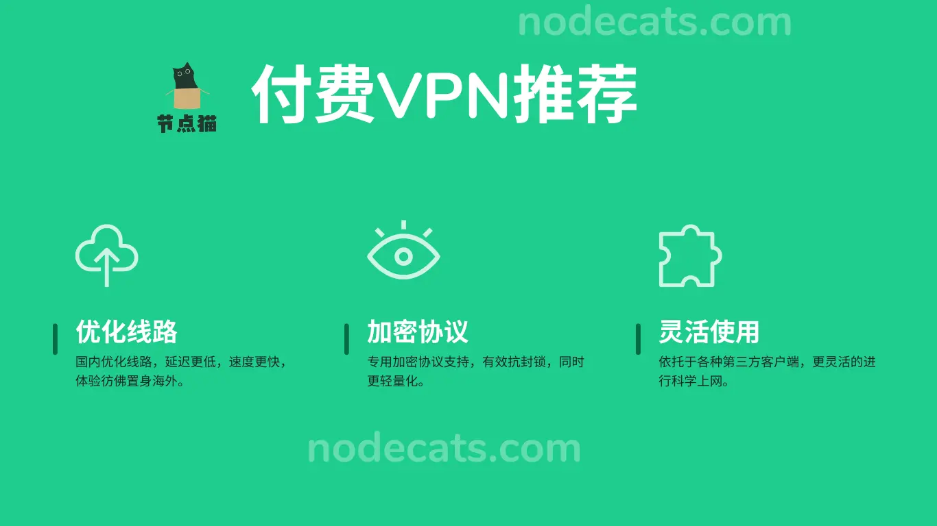 付费VPN推荐 2025