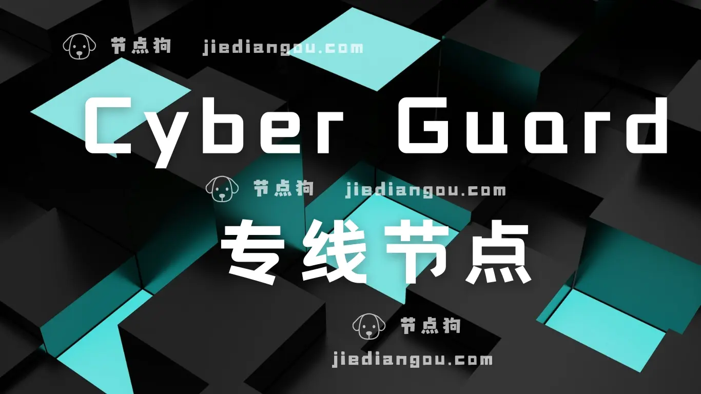 CyberGuard 专线节点