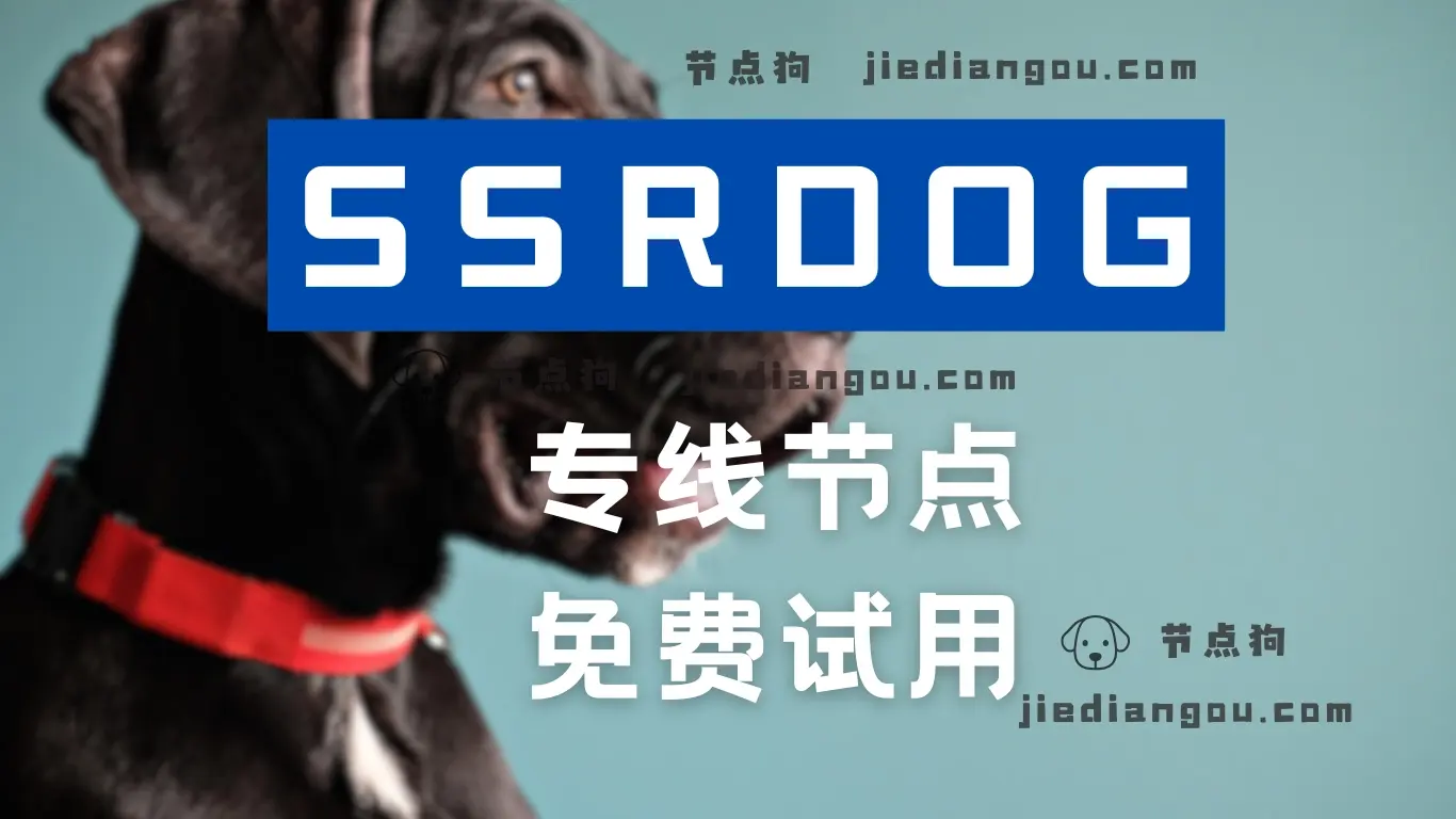 SSRDOG 专线节点