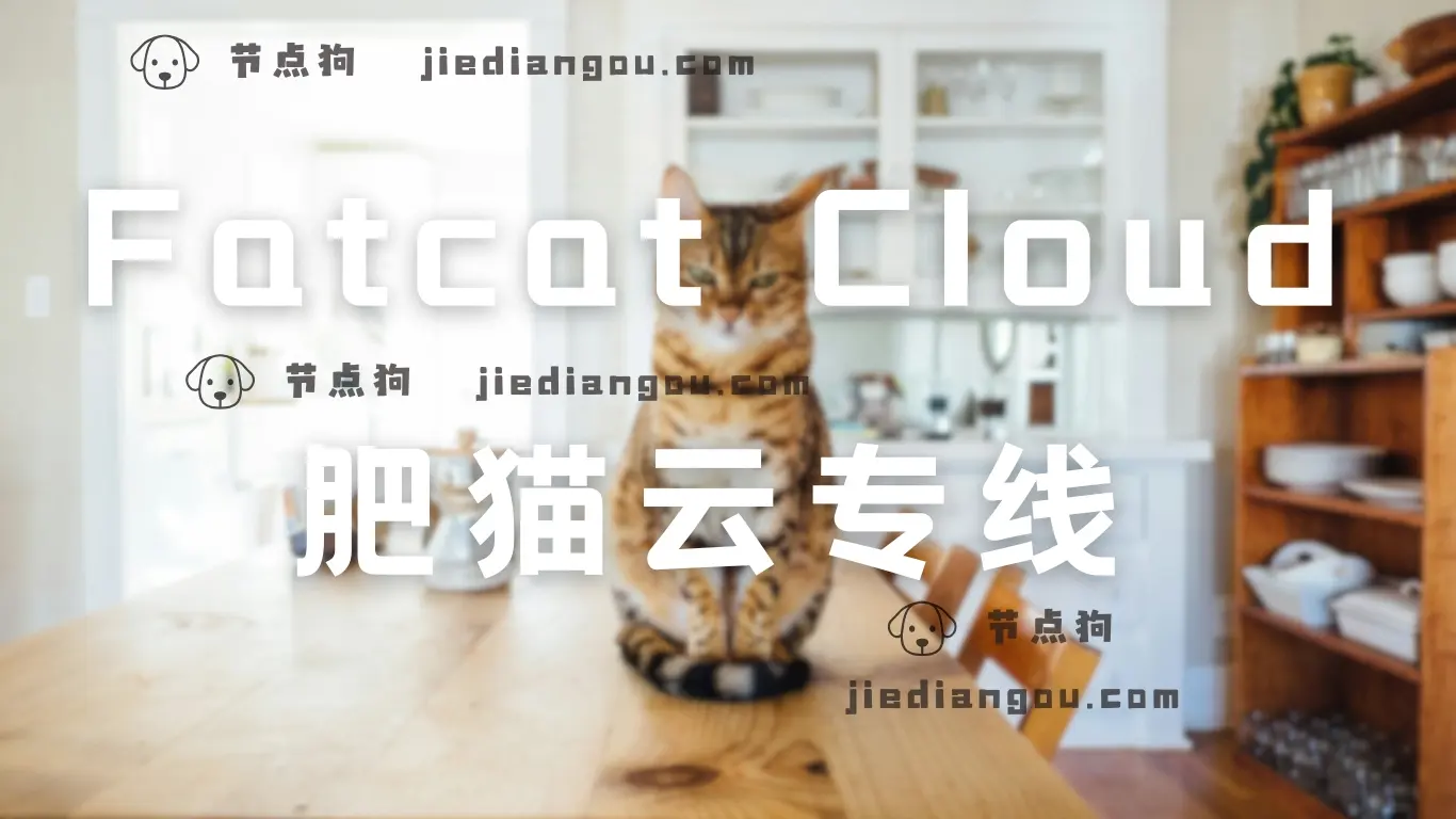 fatcat 肥猫云专线