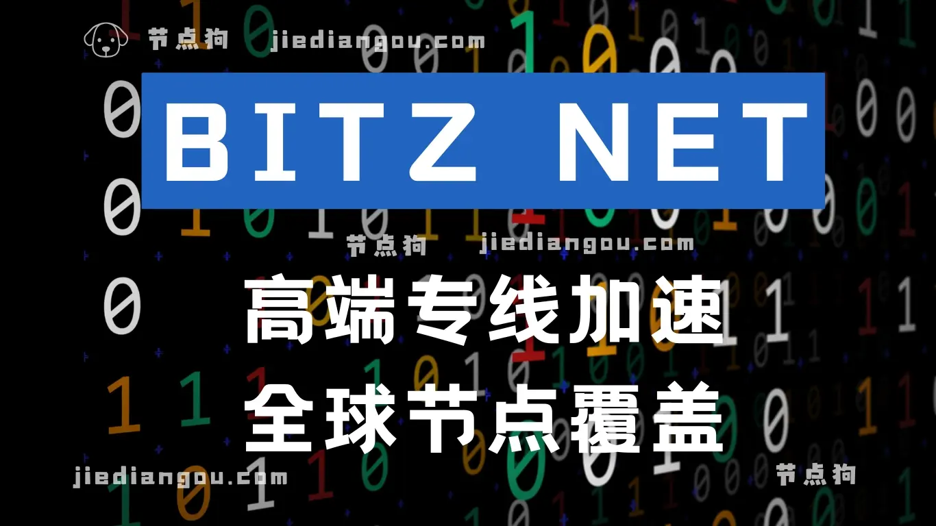 BITZ NET 机场 全球节点加速 BITZ NET 机场 全球节点加速