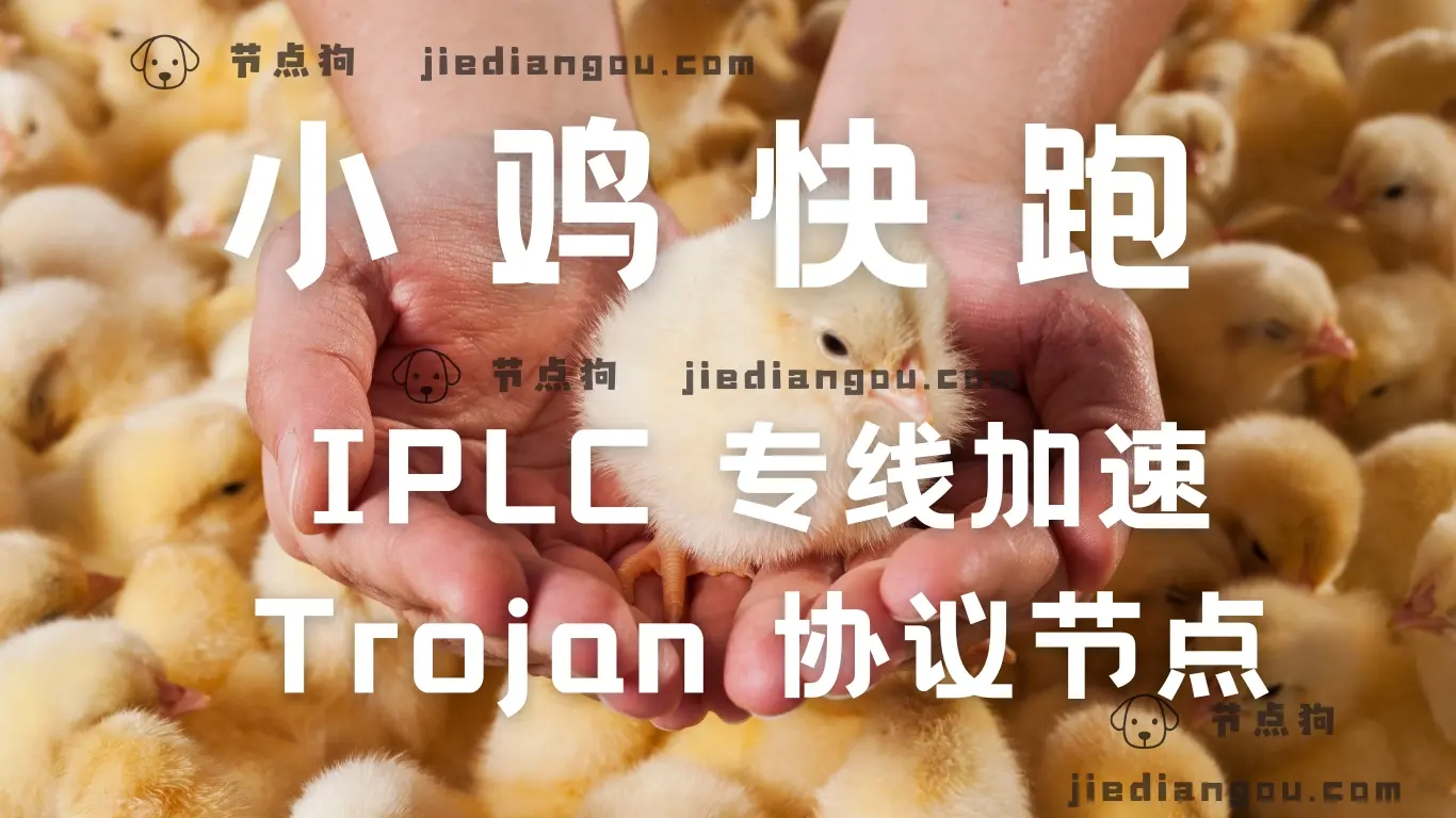 小鸡快跑机场官网 小鸡快跑机场加速器 VPN