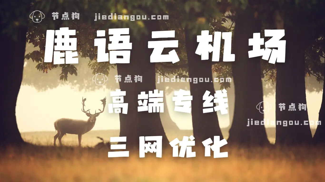 鹿语云机场 高端专线加速器