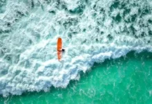 墙洞机场怎么样？Dler 机场真实用户评价参考-节点狗