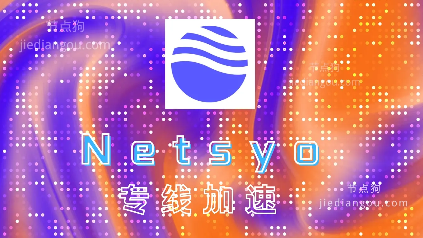 Netsyo 专线机场VPN