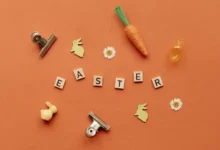 Netto 机场怎么样?-节点狗