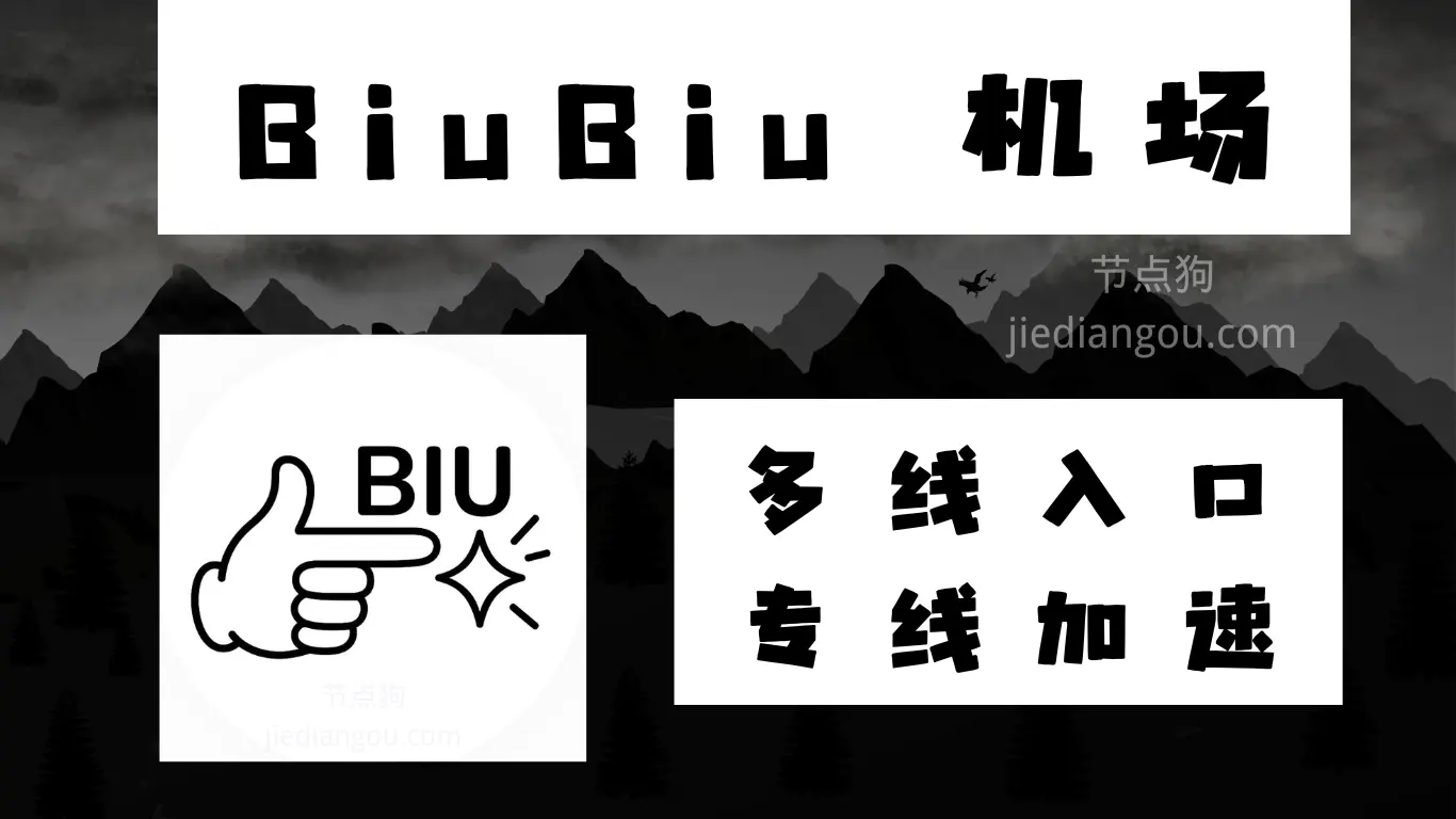 BiuBiu 机场测评:IPLC 专线加速、丰富的线路节点可选择-节点狗